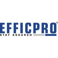 EfficPro Consulting logo - Similar company to Dataworld Software Consultancy