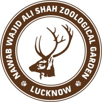 Nawab Wajid Ali Shah Zoological Garden logo - Similar company to India Ghost Project