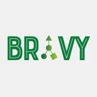 brAvy logo - Similar company to Brvy Agency