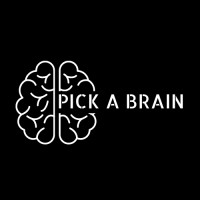 Pick a Brain logo - Similar company to Pickabrain