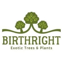 Birthright logo - Similar company to Oassist