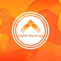 Digital Synergy S.A.S. logo - Similar company to Flowmetrix