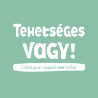 Tehetséges vagy! logo - Similar company to Vft Corp.