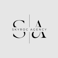 Skyroc Digital Agency logo - Similar company to Andine