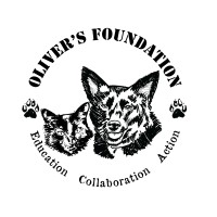 Oliver'S Foundation