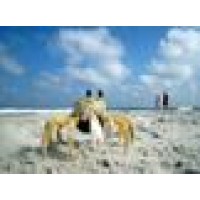 Anchor Vacations Inc