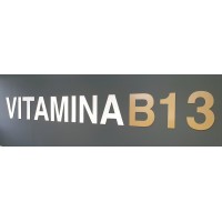 VITAMINAB13 logo - Similar company to Mgh Systems