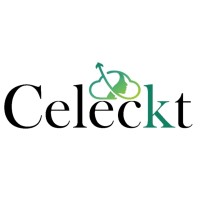 Celeckt logo - Similar company to Celect