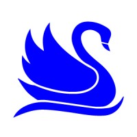 Swan Financial Services