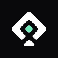 AcePixell logo - Similar company to Veeqio