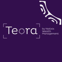 Teora by Natixis Wealth Management logo - Similar company to Feel-Inde