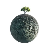 Firmly Rooted Digital Marketing logo - Similar company to Digital Technology Pro Inc