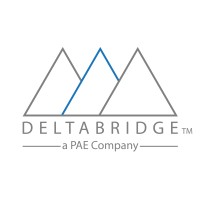 DELTA BRIDGE, INC. logo - Similar company to Centratech Solutions