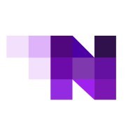 Natal Nine IT Solution logo - Similar company to Lazytech Infotech Solutions