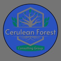 Cerulean Forest Consulting Group logo - Similar company to Leandog