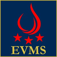 Elixir Value Management Systems, Inc. logo - Similar company to Cmkpc, Inc.