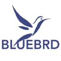 BLUEBRD logo - Similar company to Cox & Co