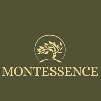 Montessence logo - Similar company to Idetecta | Global Solutions