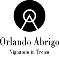 Orlando Abrigo logo - Similar company to Vliso Ai