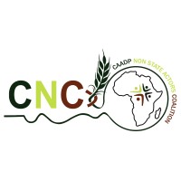 CAADP NON-STATE ACTORS COALITION logo - Similar company to Sports Council Fosst