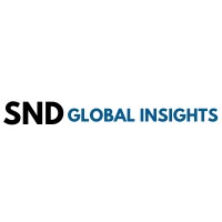 SND Global Insights logo - Similar company to Hidden Disabilities Charity