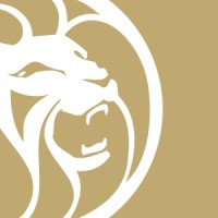 MGM Japan logo - Similar company to Kitami Inc