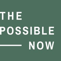 The Possible Now logo - Similar company to Renga