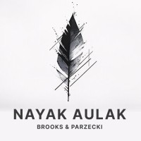 Nayak, Aulak, Brooks & Parzecki logo - Similar company to High Five Autonomous Technologies