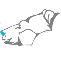 CloudBEAR logo - Similar company to Aquix