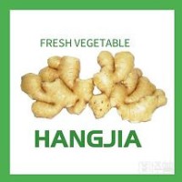 SHANDONG HANGJIA IMPORT AND EXPORT CO., LTD. logo - Similar company to Agreocology