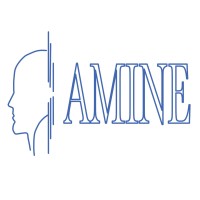 AMINE logo - Similar company to Senfc