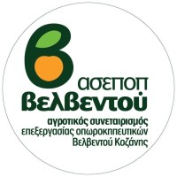 ASEPOP VELVENTOS logo - Similar company to Seeway