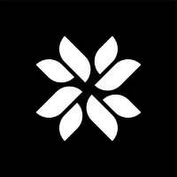 Cashful logo - Similar company to Simple Influence