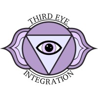 THIRD EYE INTEGRATION, LLC logo - Similar company to Phoenix Tech Accounts