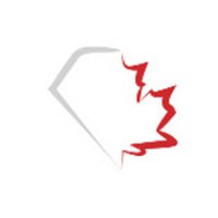 Diamond Net Inc. logo - Similar company to Diamond World