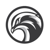Falcon International LLC logo - Similar company to Advent Solutions Llc