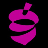 Studio Nuts logo - Similar company to Spiceship Studios