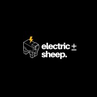 Electric Sheep Productions