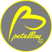 Ningbo Kemai International Trading Co., Ltd logo - Similar company to Natura 4 Pet