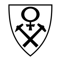 Røros kommune logo - Similar company to Ren Røros Digital As