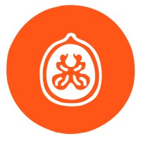 WalnutFlow logo - Similar company to Allneight