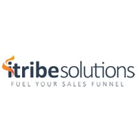 iTribe Solutions logo - Similar company to Mailall.Io | Ai Powered Email Validation