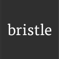 Bristle logo - Similar company to Cocolab