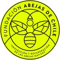 Fundación Abejas de Chile logo - Similar company to Fundación Chile Diverso