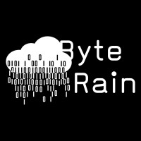 Byte Rain IT Solutions logo - Similar company to Boxcubo