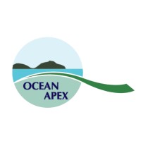 Ocean Apex Consultancy Limited logo - Similar company to Arco City Coworking & Office Space