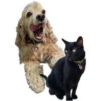 FTI Pet Products, Inc. dba Flea Treats logo - Similar company to Pet Feeder