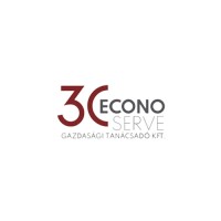 Econoserve Gazdasági Tanácsadó Kft. logo - Similar company to Accomodus Consulting