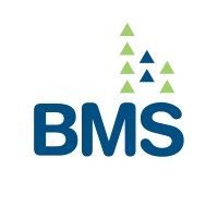 Builder Marketing Services Co., Inc.
