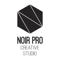 Noir Pro Creative Studio logo - Similar company to Britweb